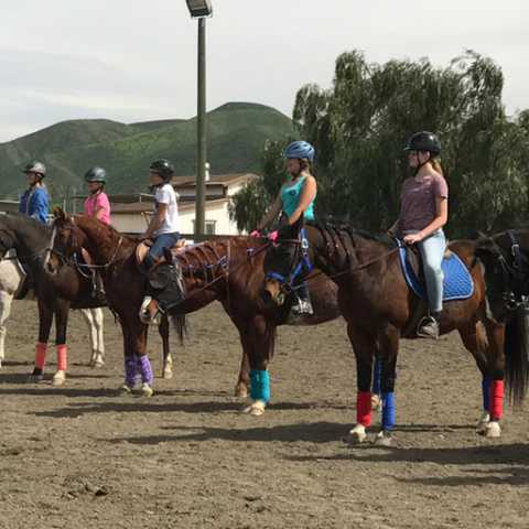 Horseback Riding - Green Acres Ranch Inc.
