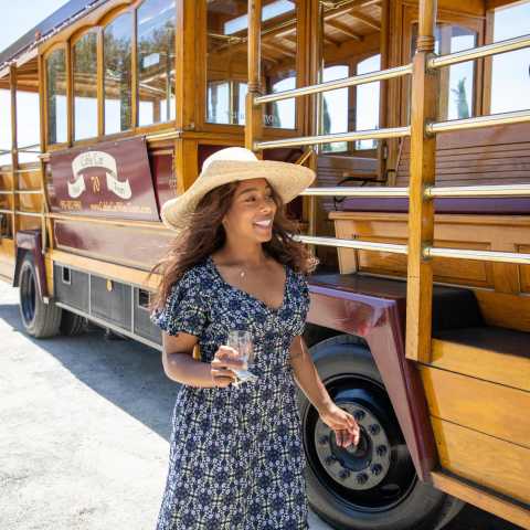 Temecula Cable Car Wine Tours