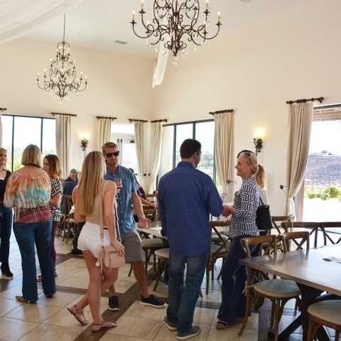 Tour - Destination Temecula Wine Tours and Experiences