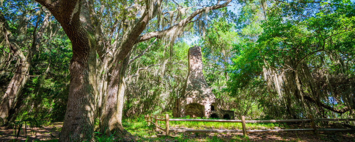 Cannon's Point Preserve Ruins In Golden Isles