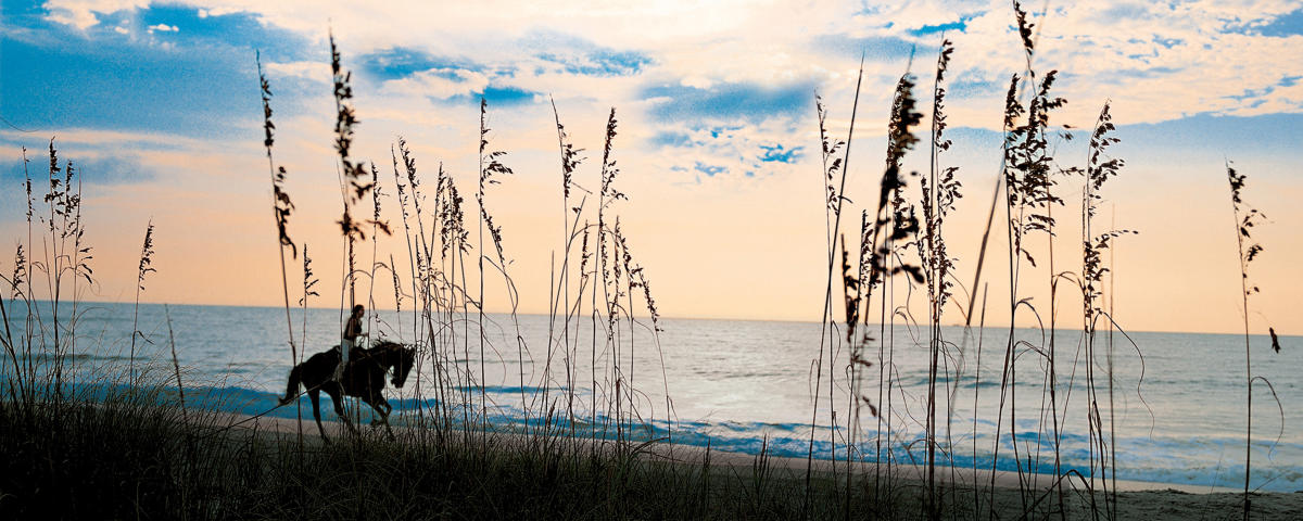 A Person Horseback Riding On Sea Island Beach