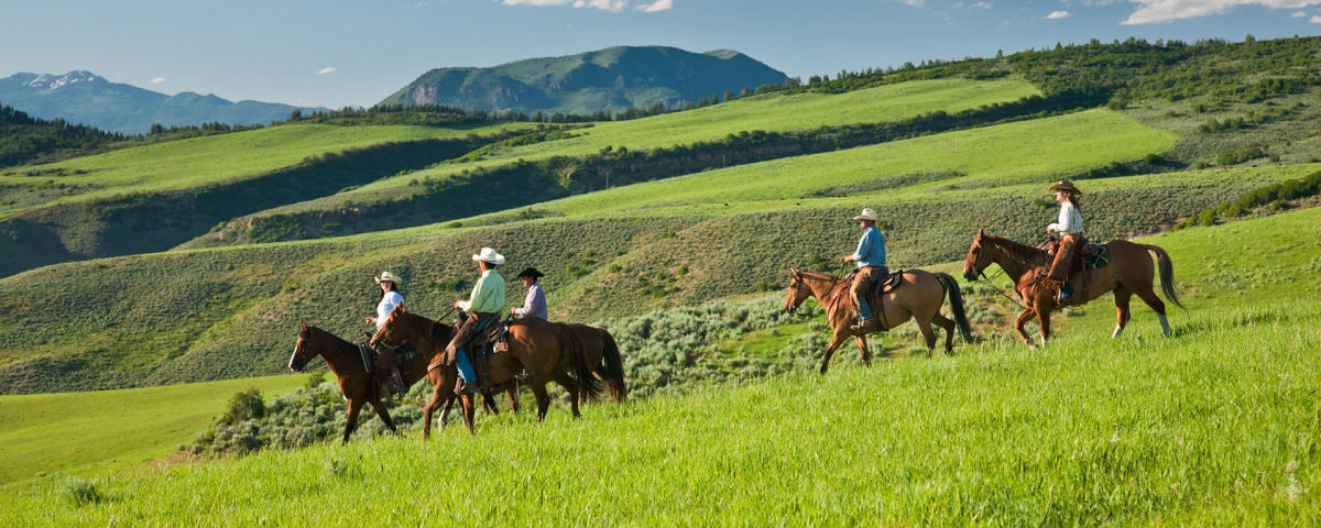 Steamboat Western Horses