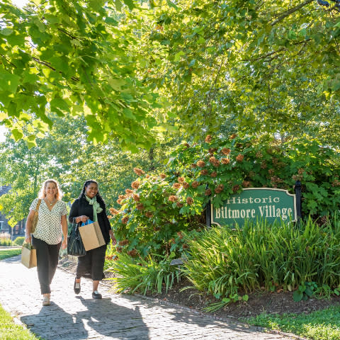 Biltmore Village Cropped for Navigation