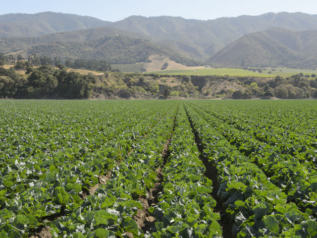Salinas Valley