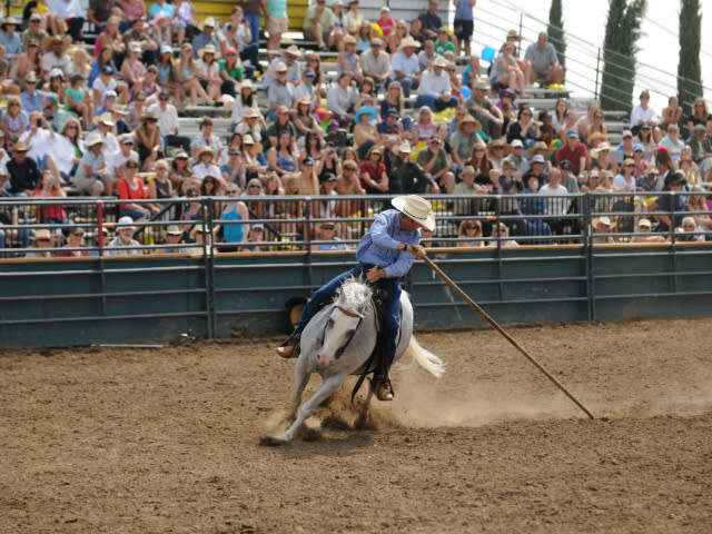 Western States Horse Expo
