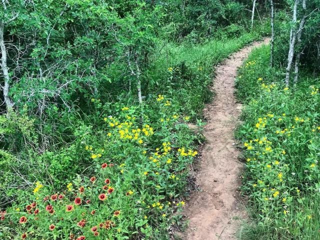 Nature Trails