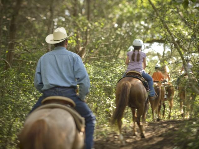 Horseback Riding - Renegade Trailhead
