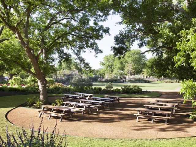 Shady Grove
