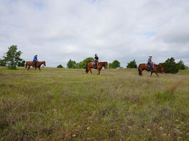 Horseback Riding