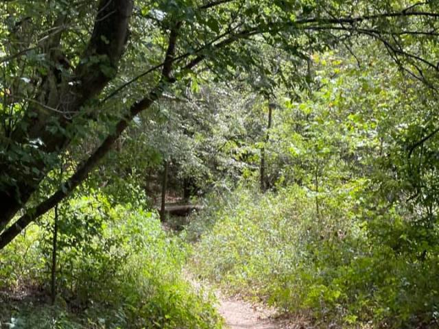 Nature Trails