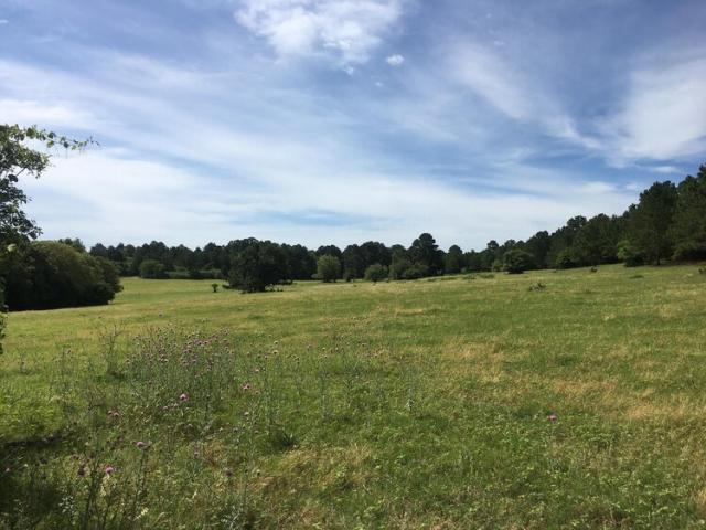 Wide Open Spaces