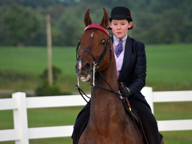 Hardin County Fair & Horse Show
