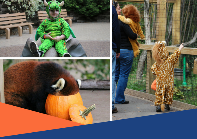 Spooky Zoo