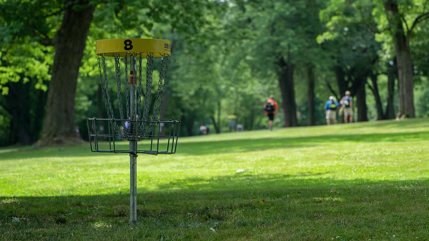 Disc Golf & Friends