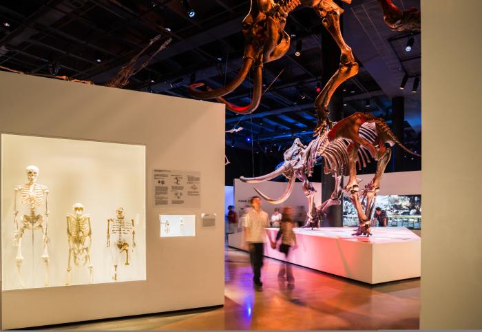 Museum of Natural Science