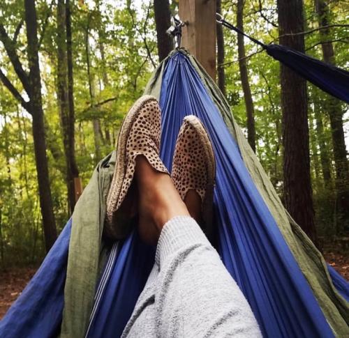 Nature Center Hammock