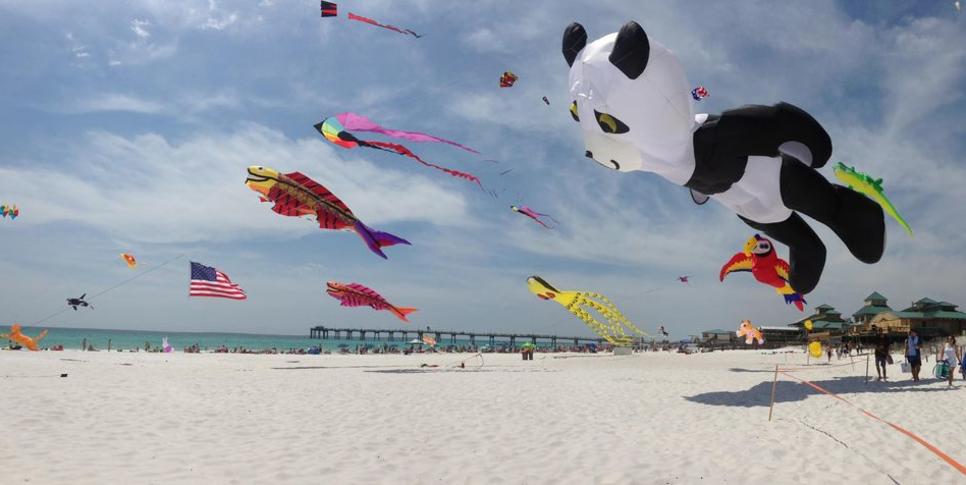 Fly Into Fall Kite Festival | Destin, FL