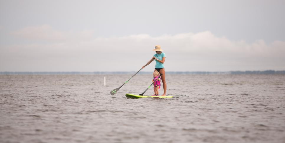 Bote Board