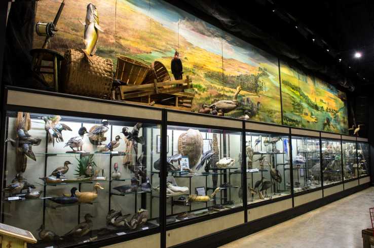 Lafitte-Barataria Museum Exhibit