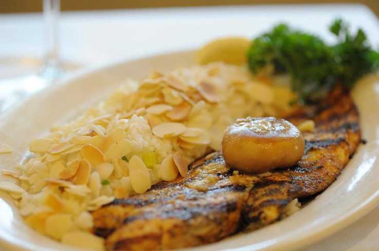 riccobono -fish