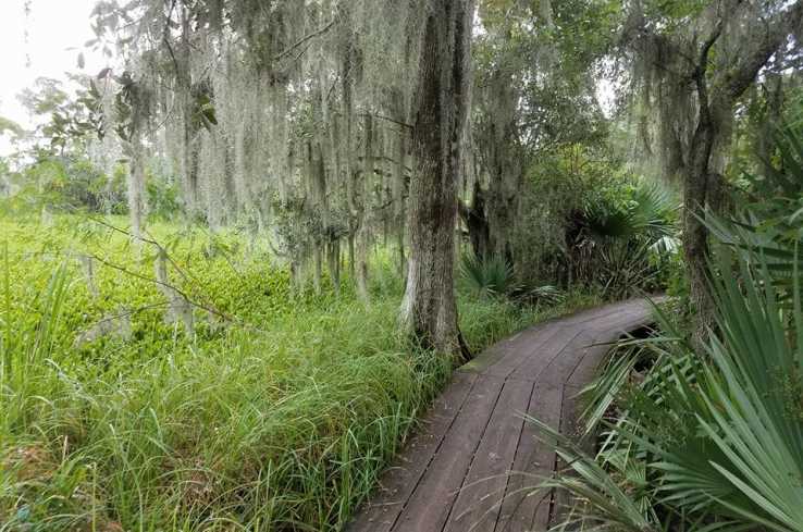 Barataria Preserve