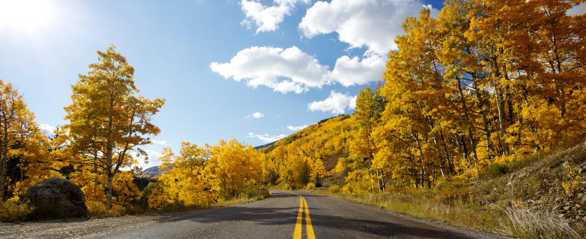 Peak to Peak Scenic Byway road surrounded by trees with yellow leaves