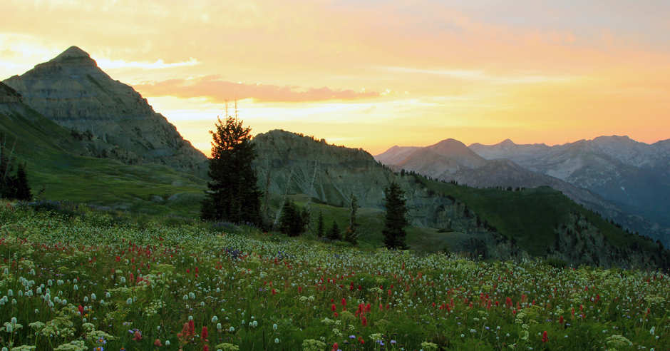 Albion Basin, Hike to Cecret Lake