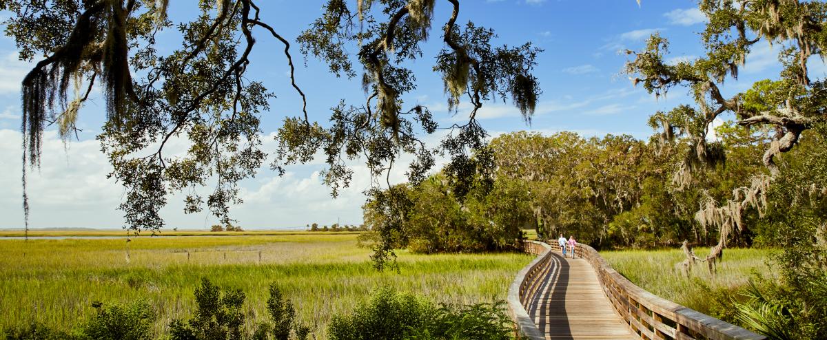 Can T Miss Stops On Your I 95 Road Trip Golden Isles Ga