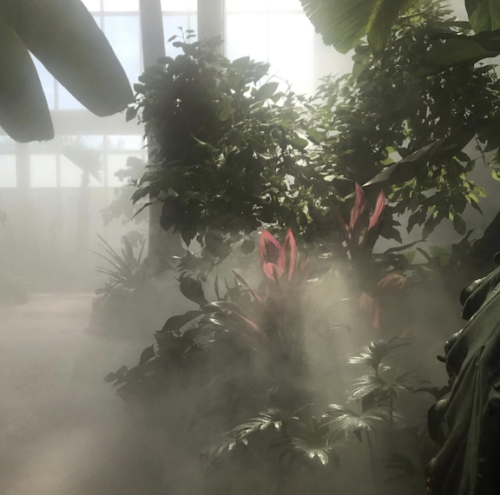 Botanic Mist