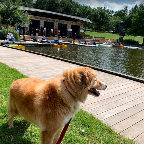Riva Row Boat House