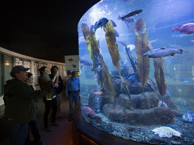 Large Aquarium