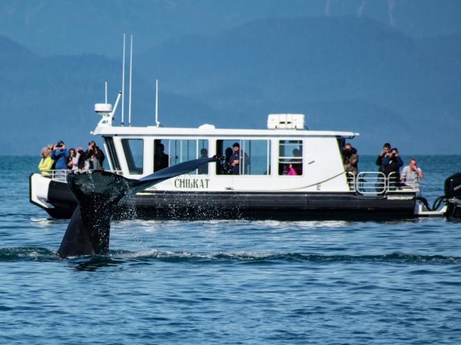 Chilkat Flame Fluke