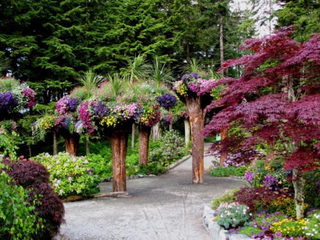 Guided Botanical Tours
