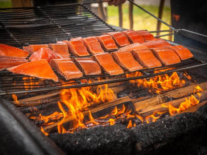 Salmon