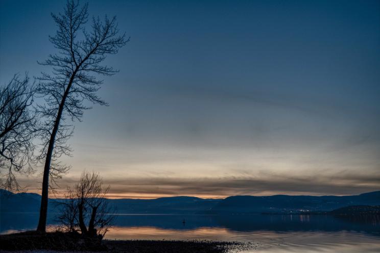 Sarson's Beach Park | Eoin Carey