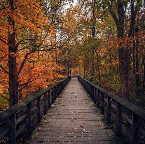 Best Date Ideas in Dayton