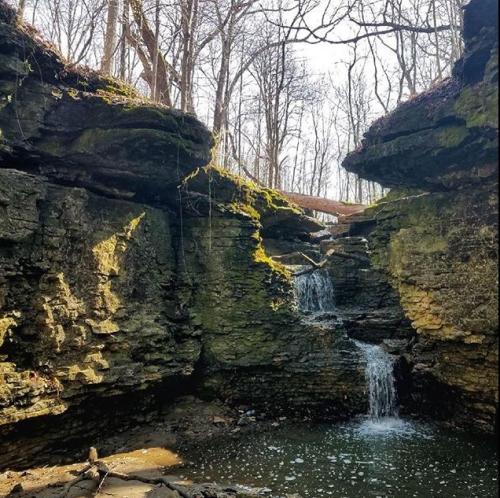 Wedgewood Hills Falls