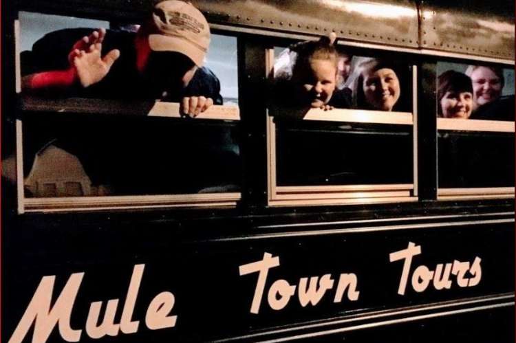 Mule Town Tours