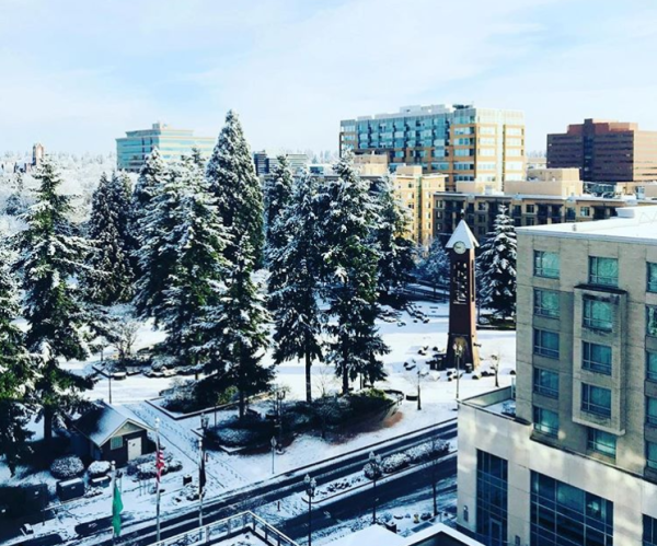 Esther Short Park snow