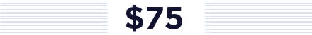 MHW $75 price