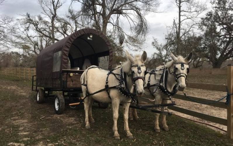 Almosta Ranch