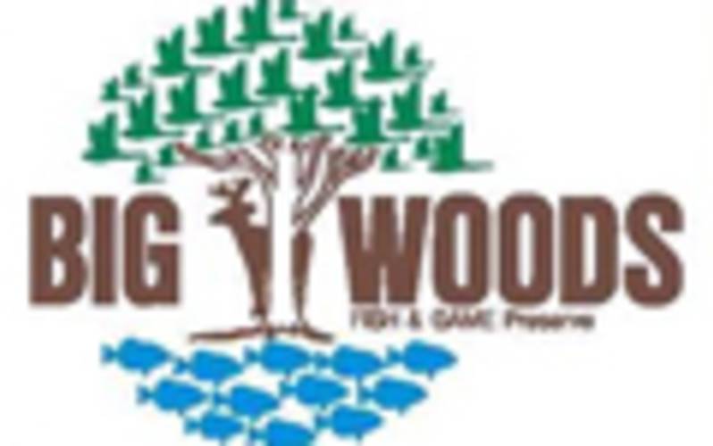 Big Woods Fish & Game