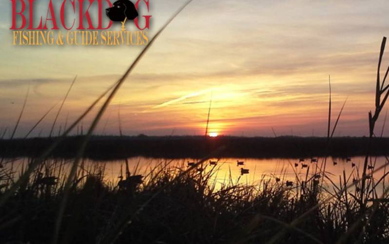 Blackdog Guide Services