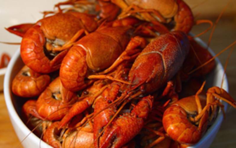 Crawfish Festival Lake Charles 2022