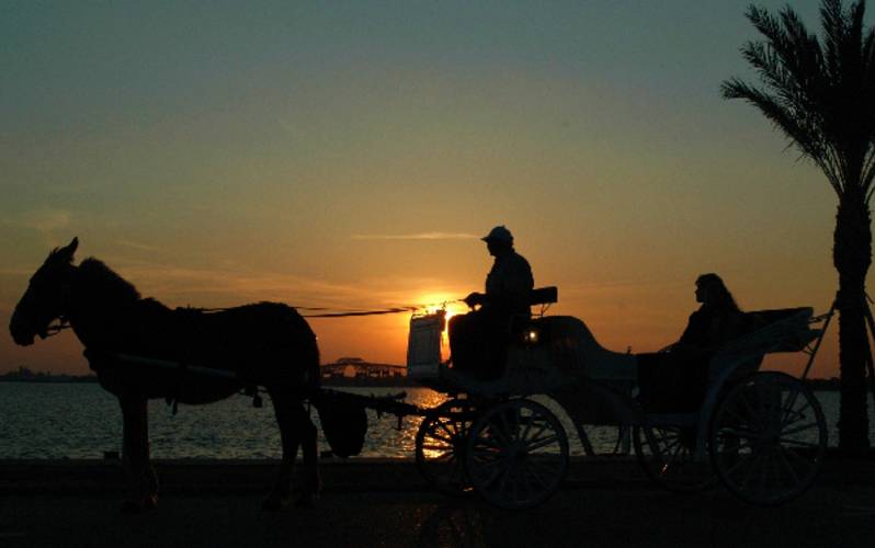 Lake Charles Carriages