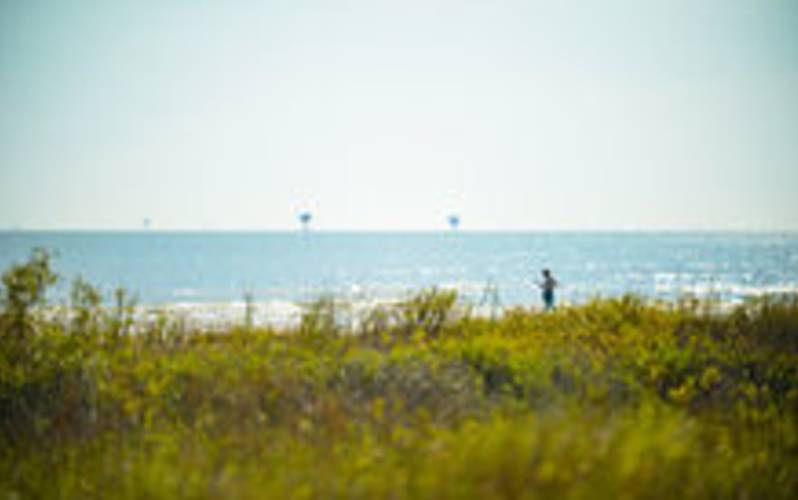 Rutherford Beach