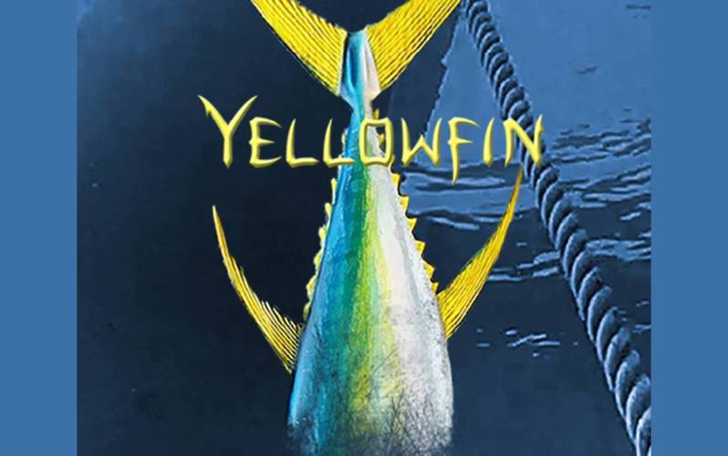 Yellowfin