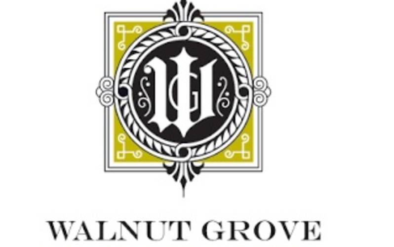 walnut