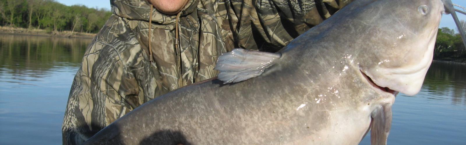 Catdaddy Fishing Guide Service