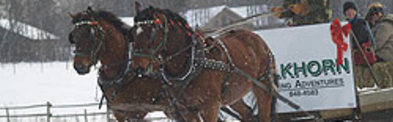 Elkhorn Riding Adventures - 